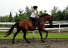 Tout premier galop avec Lam&eacute; (&eacute;talon &agrave; Suevada)...
