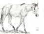 QH