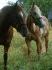 Priss&Princess