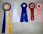 1re saison dressage, notre récolte pour nos 3...