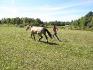 on fait la course :) 