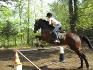mon premier saut avec mon cheval