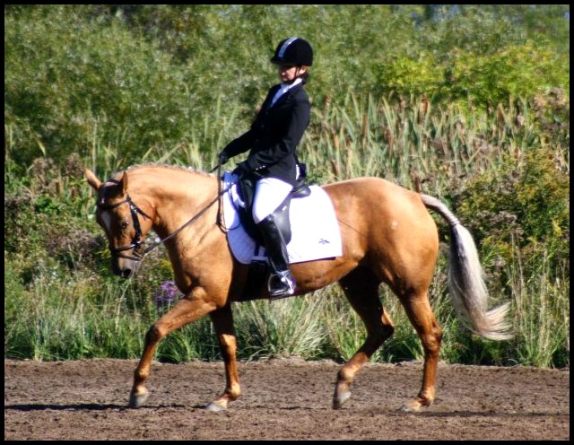 Médaille d'or, JEQ 2011, Mirage et moi <3
