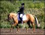 M&eacute;daille d'or, JEQ 2011, Mirage et moi <3