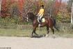 Marilou et Welcome, sa jeune jument Warmblood de...