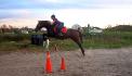 Moi et Fidelle sur un saut :) Ma position...