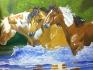 peinture a numero que j'ai fait , c'est sure que...