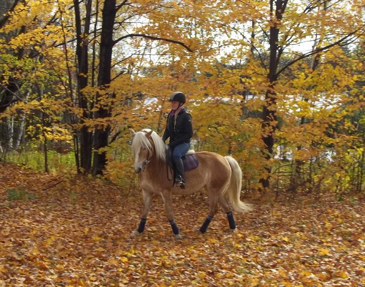Poney. Moi et Séréna la ponette trop plein d'énergie a cause qu'elle...