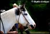 Portrait fait lors d'une comp&eacute;tition de gymkhana