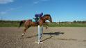 mon cheval saut 3p6 avec botte :)