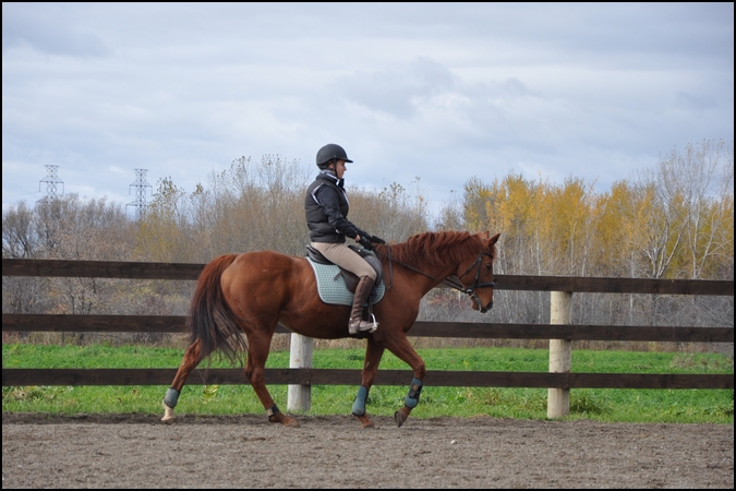 Bailey's et Wapi / 25 octobre 2011