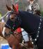 Jolly au gymkhana amateur d&eacute;guiser, 29 oct. 2011....