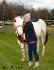 Moi et le beau Zephyr :)