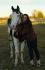 Zephyr et moi :)