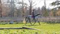 Spartacus, un potentiel prochain cheval :)