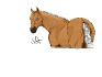 Dessin d'un cheval palomino que j'ai fait à l'ordinateur avec ma...