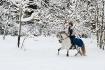 le meme sous 1 m de neige