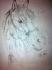 Dessin que j'ai fait de mon cheval <3 . Vos avis...