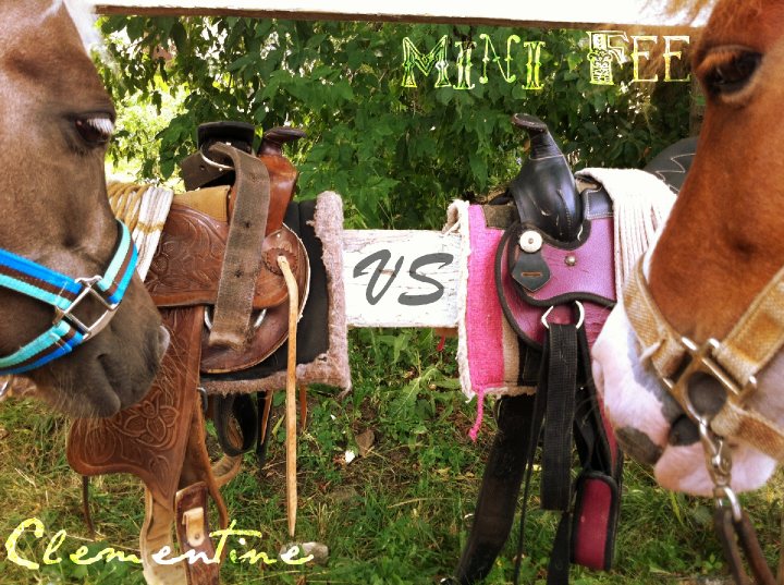 Les paris sont ouvert :P Qui va gagner quoi ? !
