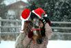 Mon poulain et moi même vous souhaite un joyeux noël! :)