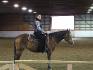 Examen cavalier 4 sur Mummy au Écuries Chanie :) 