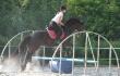 Moi et Mira, jeune frisonne a notre 1er concours <3