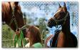 Un montage photo pour une amie :) Comment le...