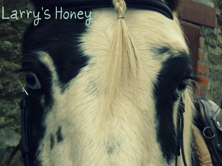 Larry's Honey ♥