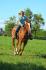 Galop au champs 