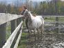 Olivier a 4 ans