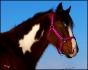 Le beau Vasko de Raiinb0w_x ! :-) On dirait qu'il...
