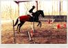 Il n'y a pas que le RedBull qui donne des aiiles. &#9829;