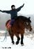 Moi sur ma grosse ardennaise en train de tracter une luge...