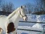 neige