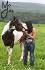 poney (L)
