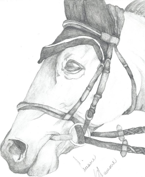 un nouveau dessin