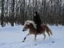 Au galop !