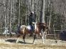 Ma coatch et un de mes chevaux :) beaucoup de...