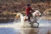 Galop dans un petit lac :D 
