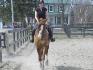 Mon nouveau poulain Cabalito LLWB (3 ans)