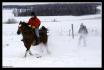 Ski joring! Will surTommy  et  Karell en ski!...