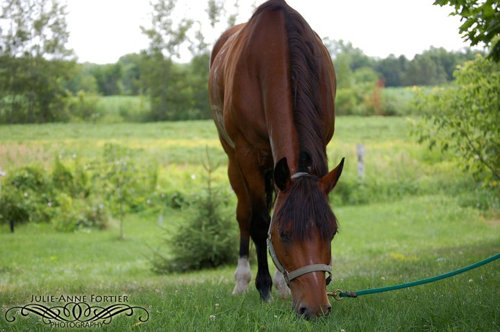 Copain:) Je t'aime et j'ai hâte, VRAIMENT! *Photographe...