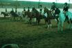 Carrousel 2012! On avait toutes nos capes...