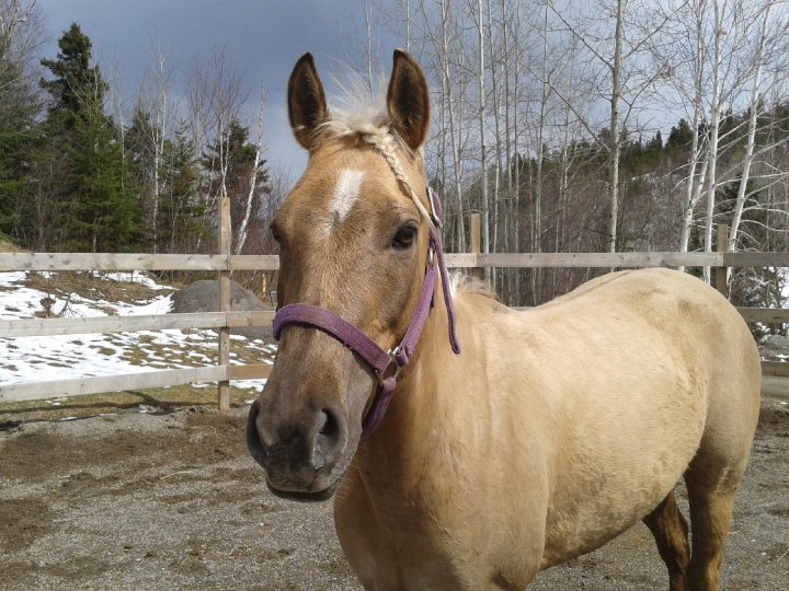 Léona, ma petite blondinette! L'année passée, lorsqu'elle fesait...