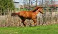 Demolition Girl mon gros bb en feu