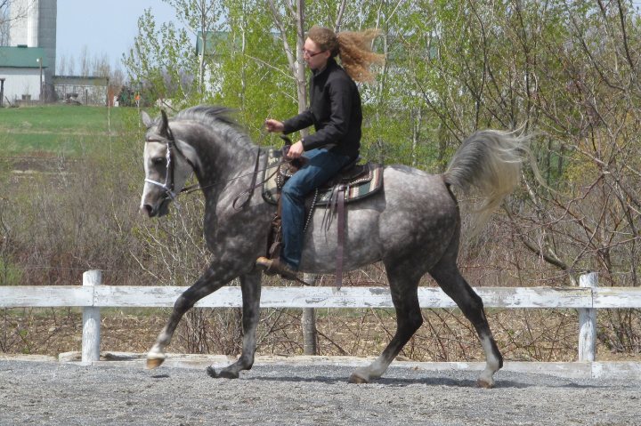 Moi et Ben au galop
