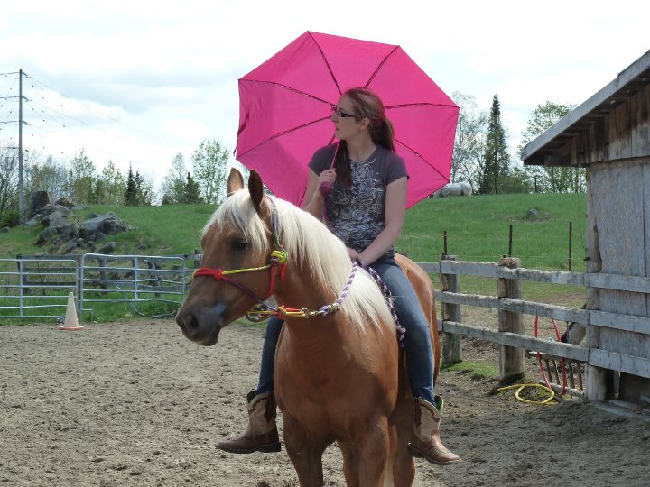 Désensibilisation. Désensibilisation au parapluie avec Abby :)
