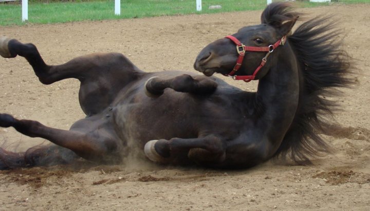 Roulade. Cadence qui ce roule hahaha trop drôle :-D
