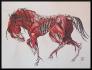mon cheval macabre! que jai terminer aujourd'hui...
