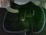 Ma belle selle(L)